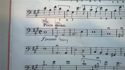 what does poco a poco mean in music? the gradual crescendo technique